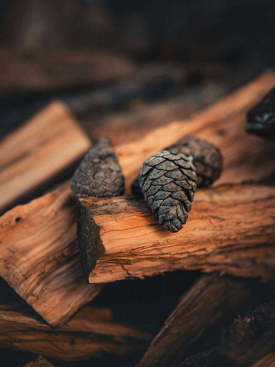 pine cones on wood.jpg